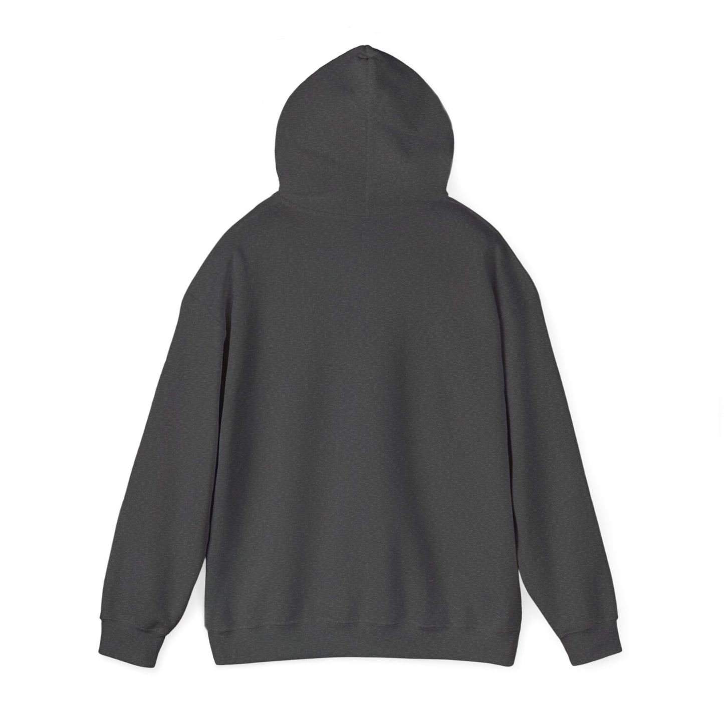 RIDE OR DIES Limited Edition Hoodie